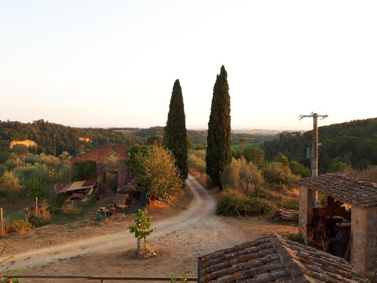 Podere Calcinaia Castelnuovo Berardenga Exteriör bild