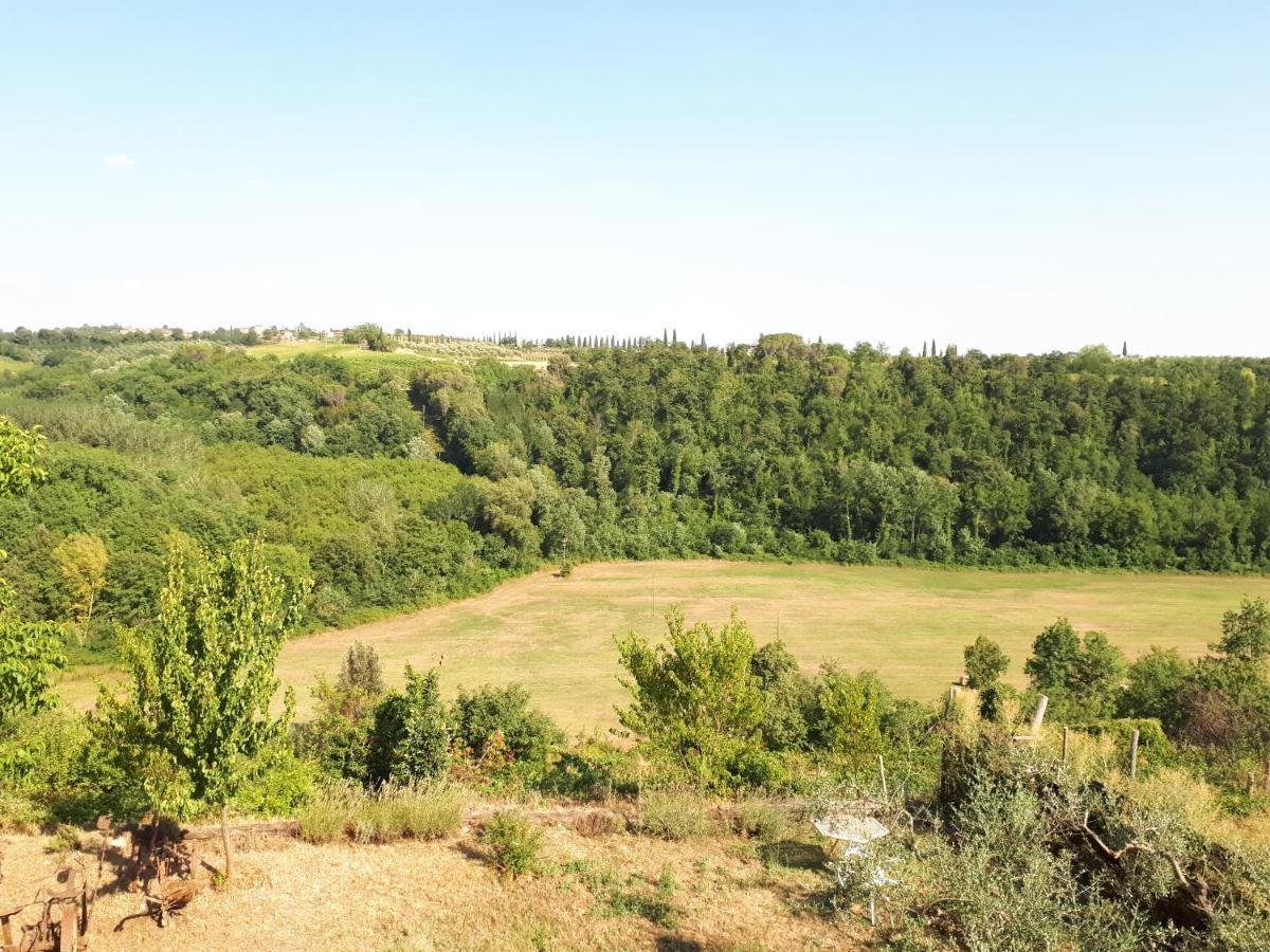 Podere Calcinaia Castelnuovo Berardenga Exteriör bild