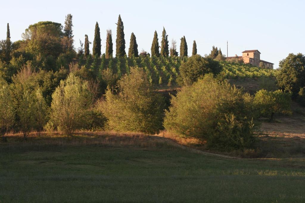 Podere Calcinaia Castelnuovo Berardenga Exteriör bild